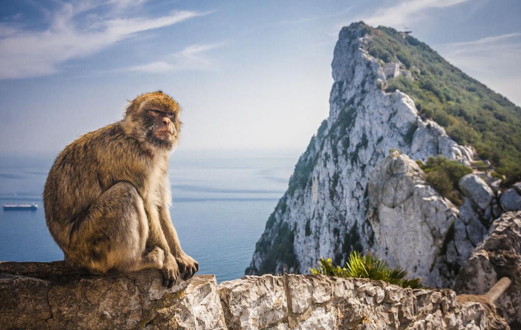 شقة Cabopino, Las Mimosas ماربيا المظهر الخارجي الصورة